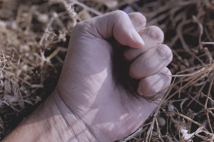 Boxing Drama ‘Light of Fire’ Takes Shape at JAFF Market